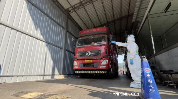 中老鐵路,鐵路集裝箱運輸