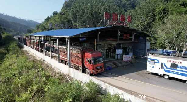 中老鐵路,鐵路集裝箱運輸