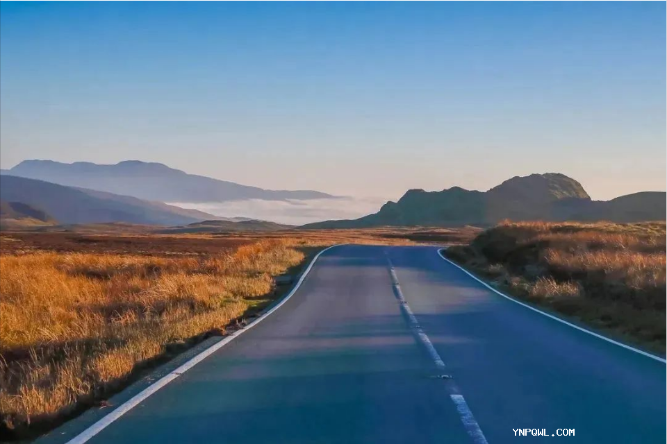 從物流大國邁向物流強國，物流行業要做哪些改變？