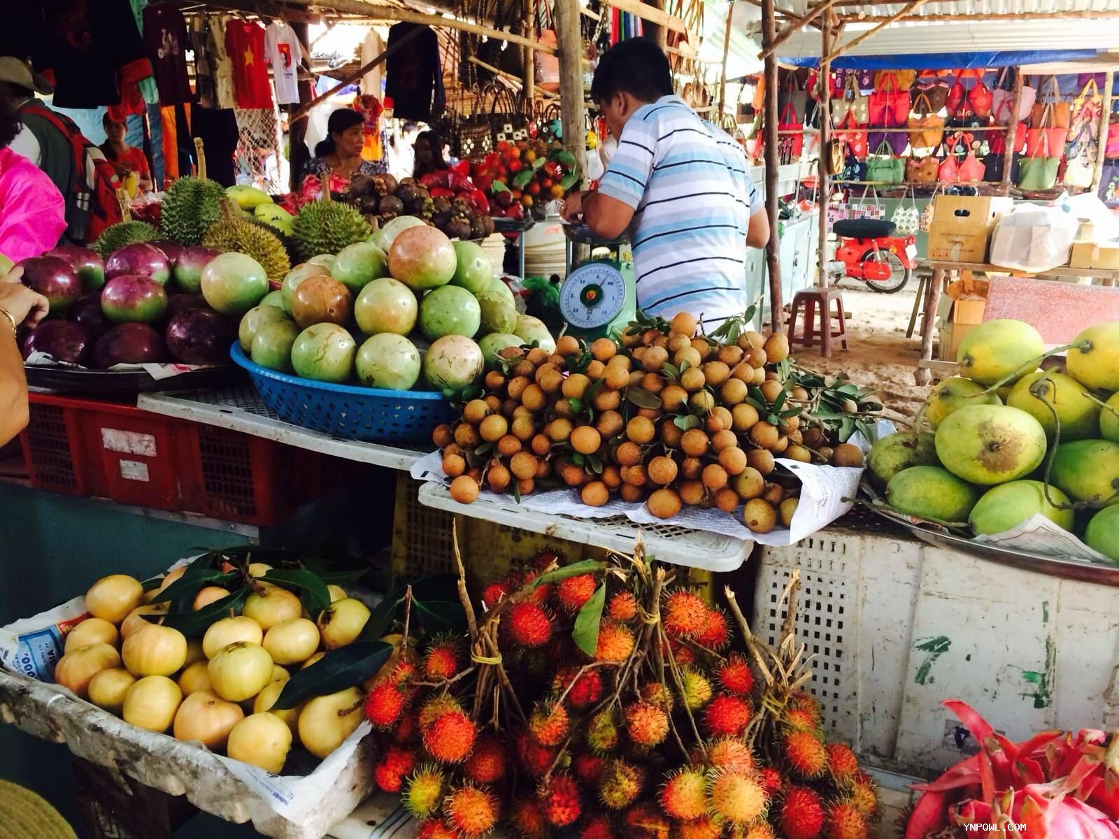 東南亞地區擁有豐富多樣的水果