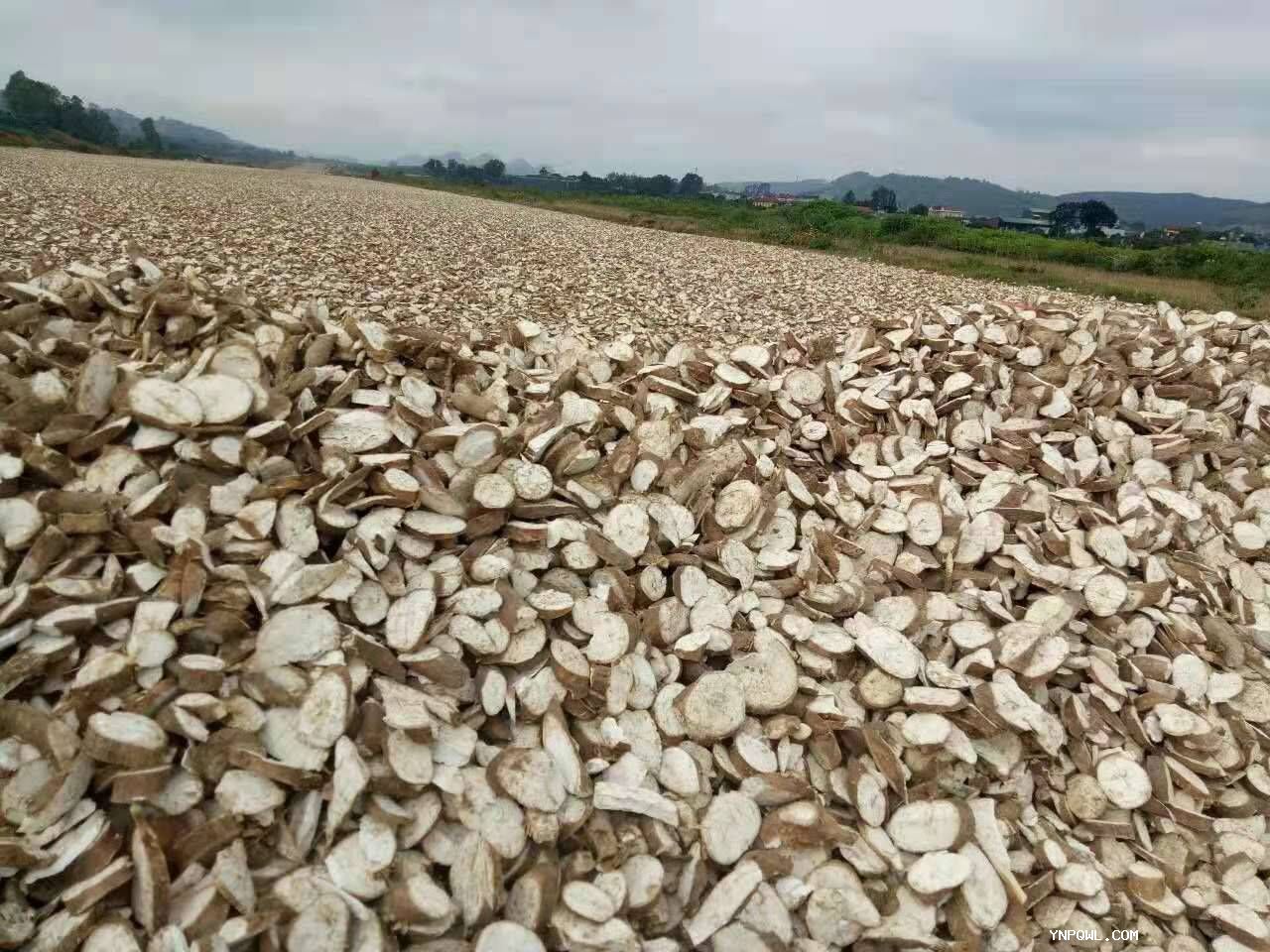 木薯干片酒精廠主要用途