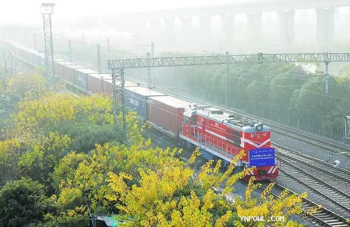 中老鐵路承運商品結構不斷優化拉動了貨運量快速增長