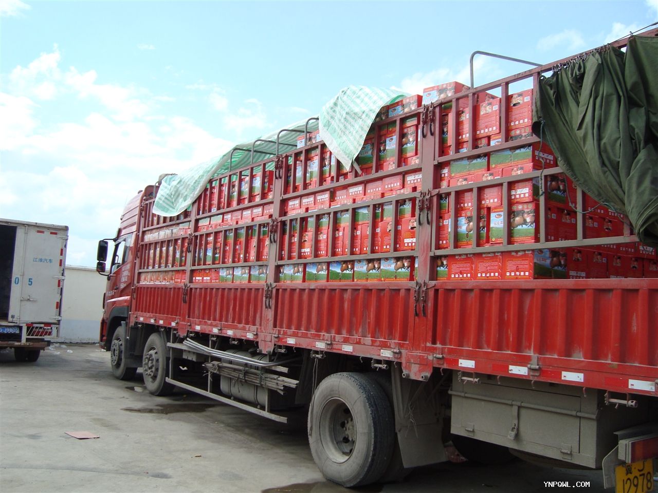 中老鐵路促進了兩國運輸發展