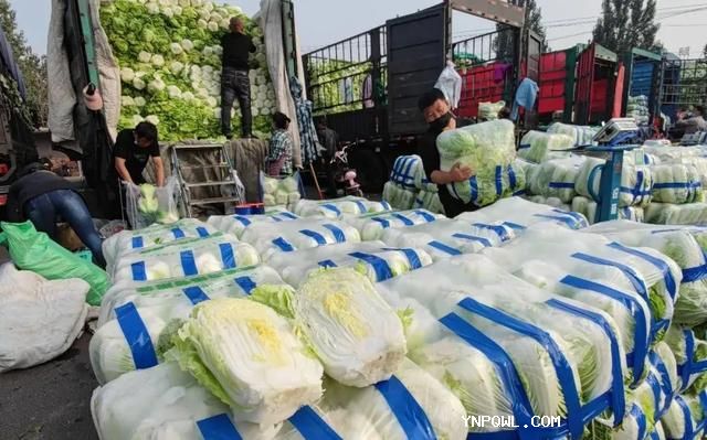 中老鐵路 快速滿足人們對“新鮮”的追求