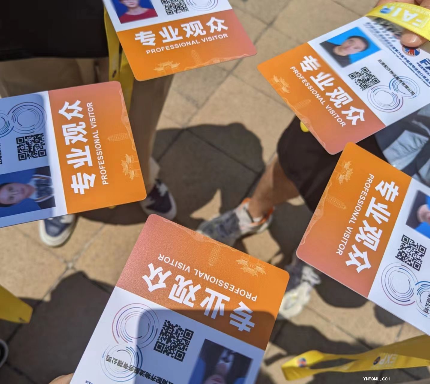 中老鐵路貨物運輸