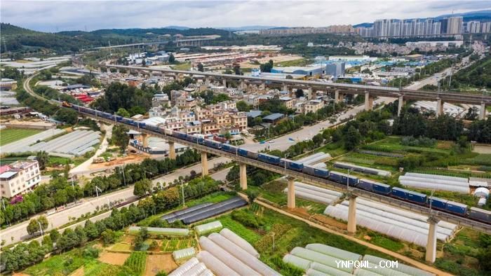 中老鐵路沿線的產業布局將為經濟發展奠定堅實基礎