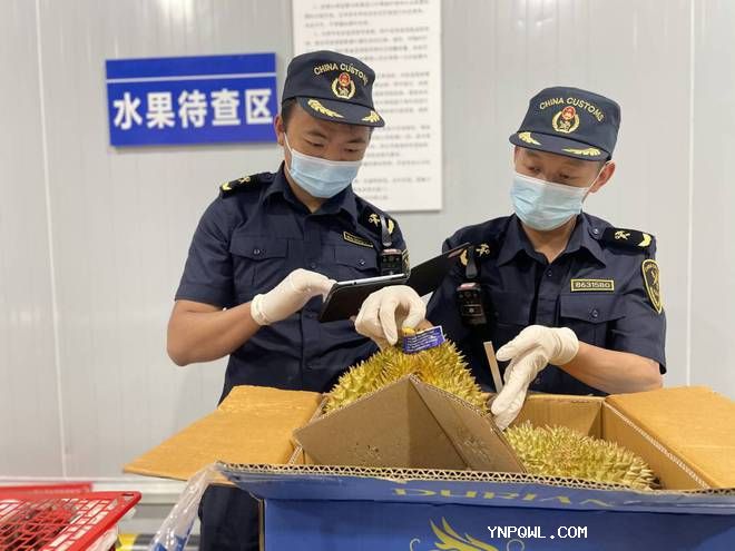 中老鐵路水果運輸 