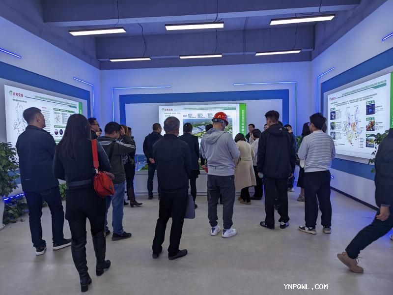 云南供應鏈協會：創新驅動，協同發展 