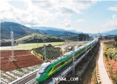 中老鐵路客旺貨暢實現新年開門紅