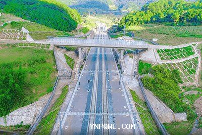 中老鐵路運輸在農產品出口方面有哪些挑戰？