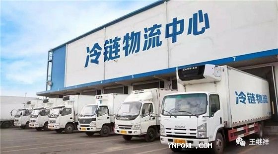 中老鐵路冷鏈運輸發貨